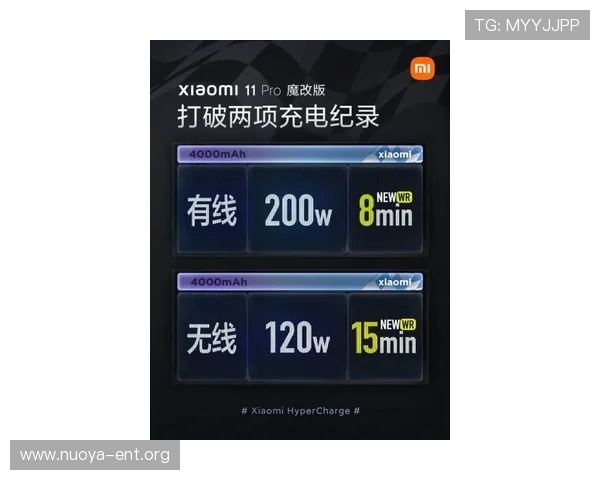 U体育百家乐官网的技术支持与平台稳定性详尽评测